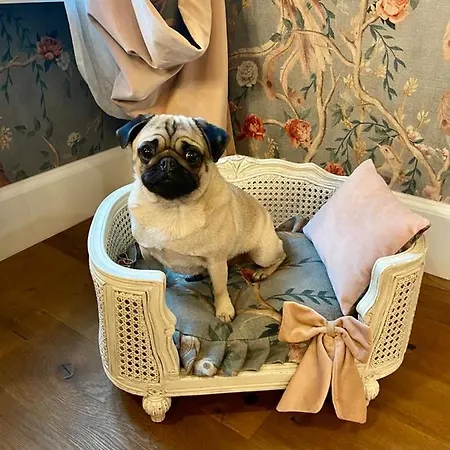 Värdshus Antica Dimora Desenzano